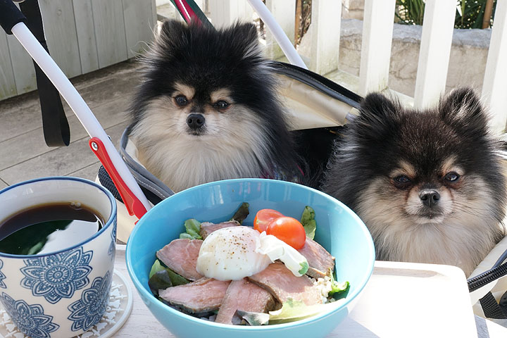 黒ぽめあんこ と 黒ぽめおはぎ お店一覧用