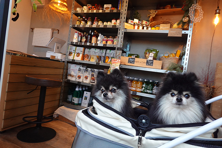 ★わんこ★ テラス・一部店内わんこOK】ネクストジェネレーションタウンを色々巡る