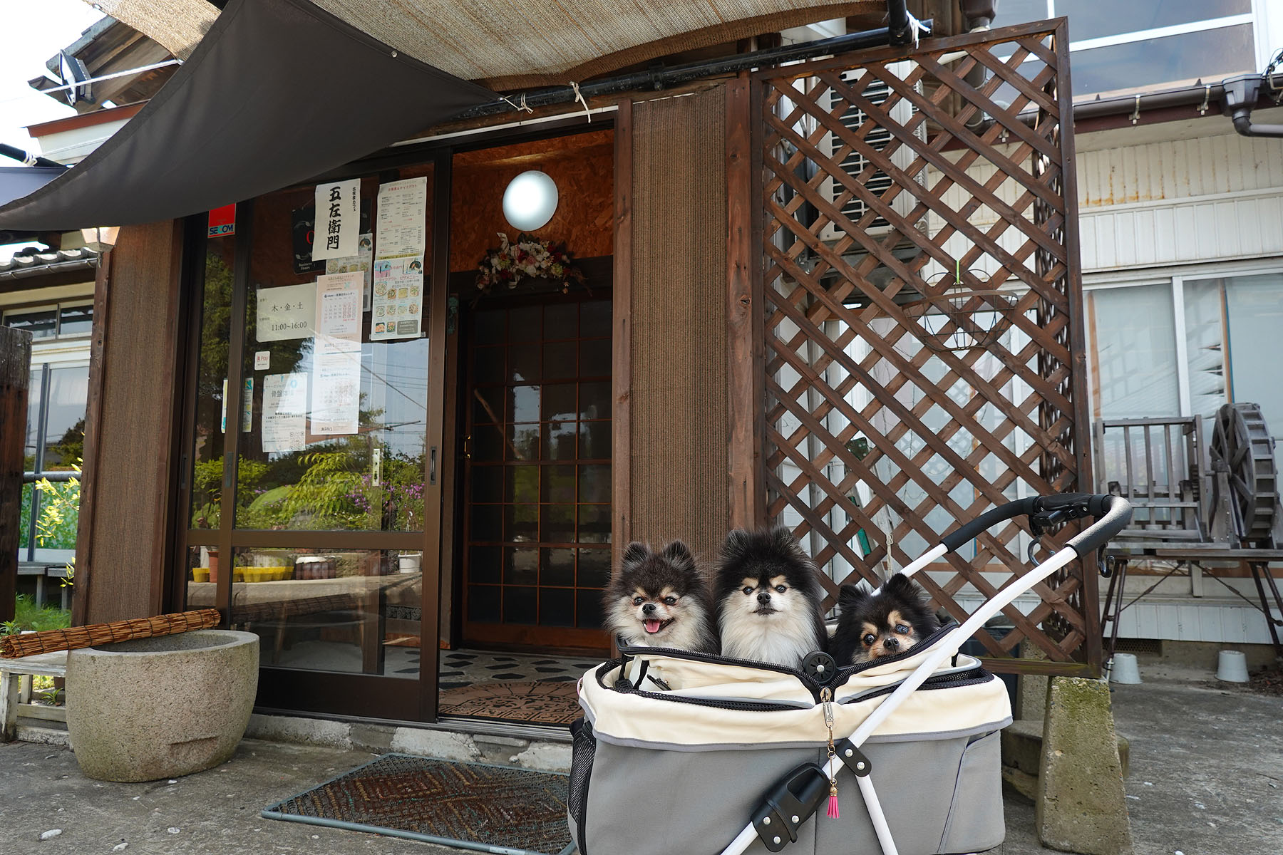 テラスわんこOK】西蒲区の古民家カフェ五左衛門カフェ : 黒ぽめ！あん