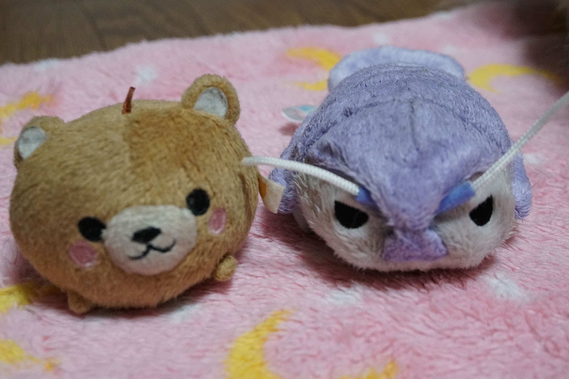 おはぎ新しいおもちゃで遊ぶ 黒ぽめあんこ と 黒ぽめおはぎ