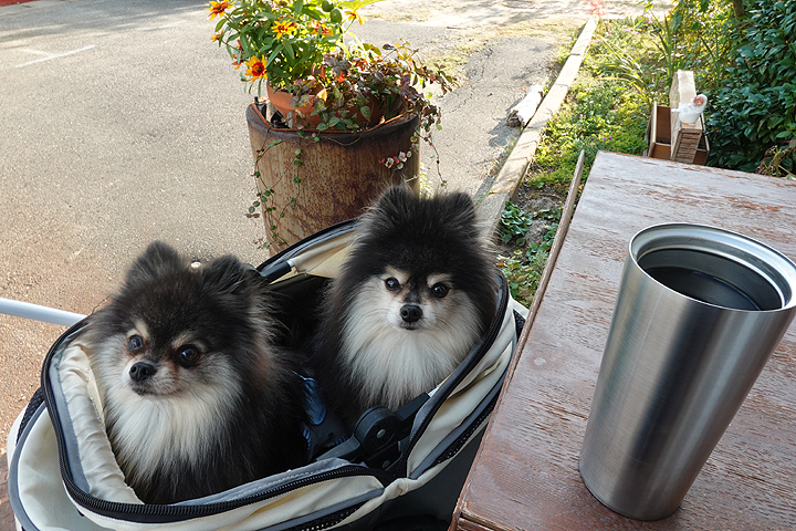 テラスわんこOK】珈琲工房うた直売所 : 黒ぽめ！あんことおはぎと