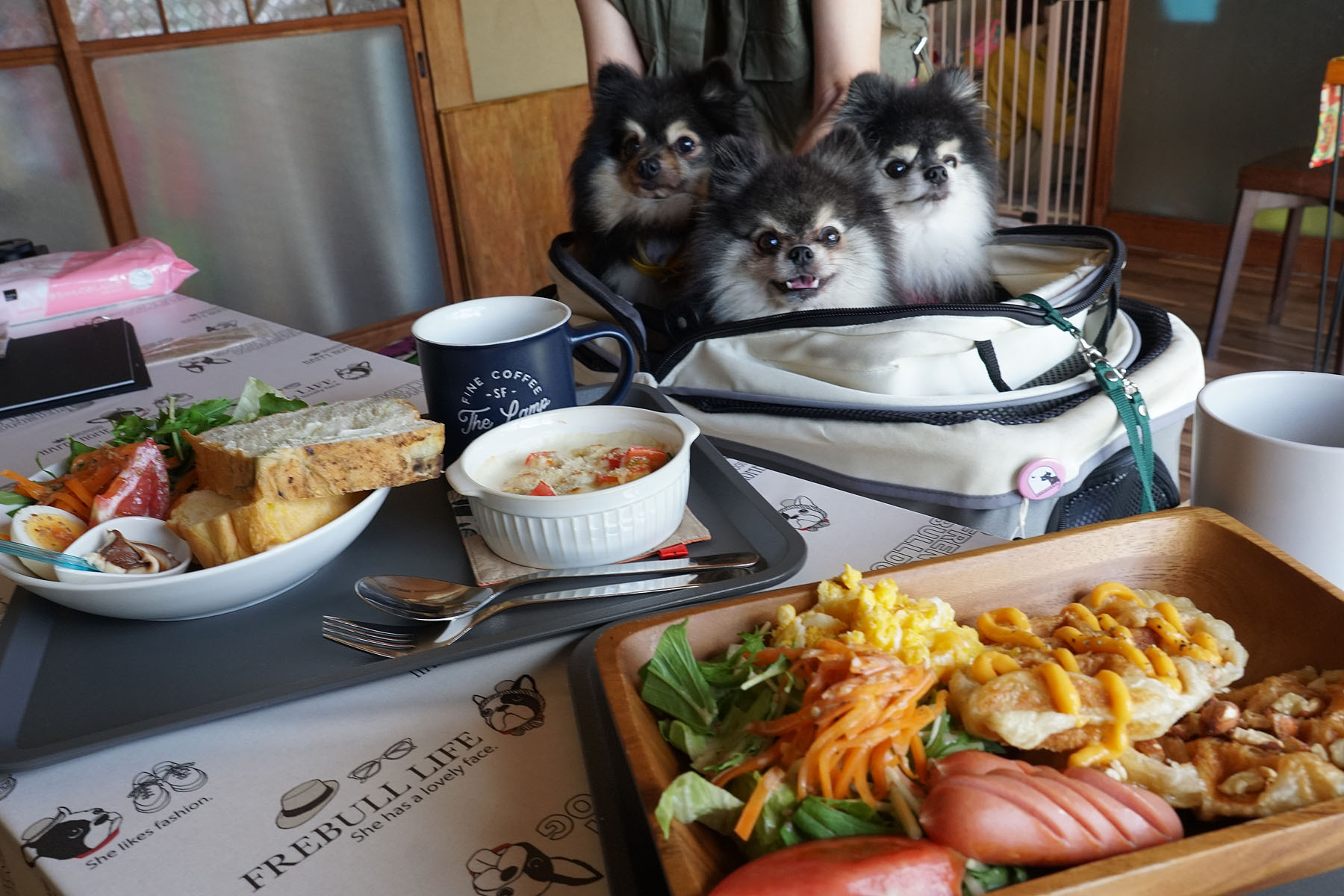 店内わんこOK】加茂市信濃川近くmoco moco Cafe : 黒ぽめ！あんこと