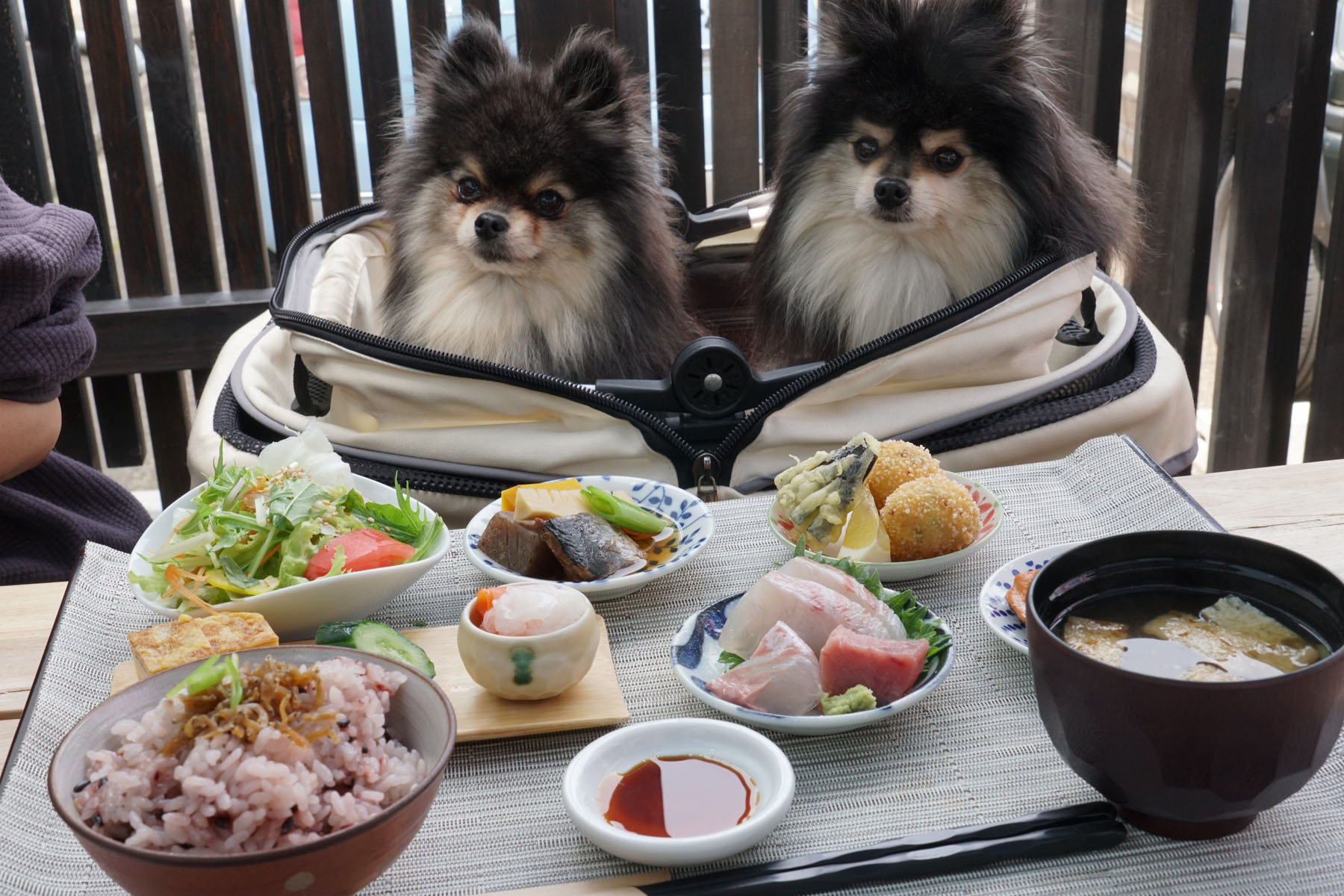 和食 カフェ えん