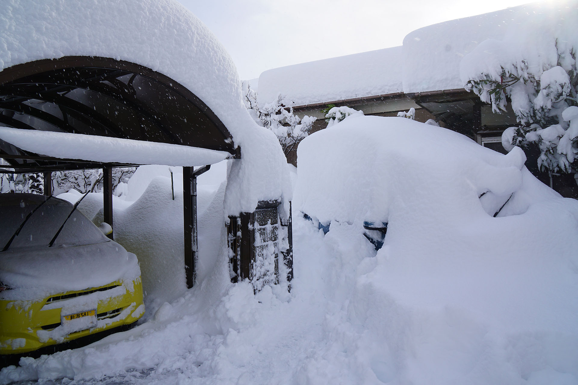 大雪 新潟