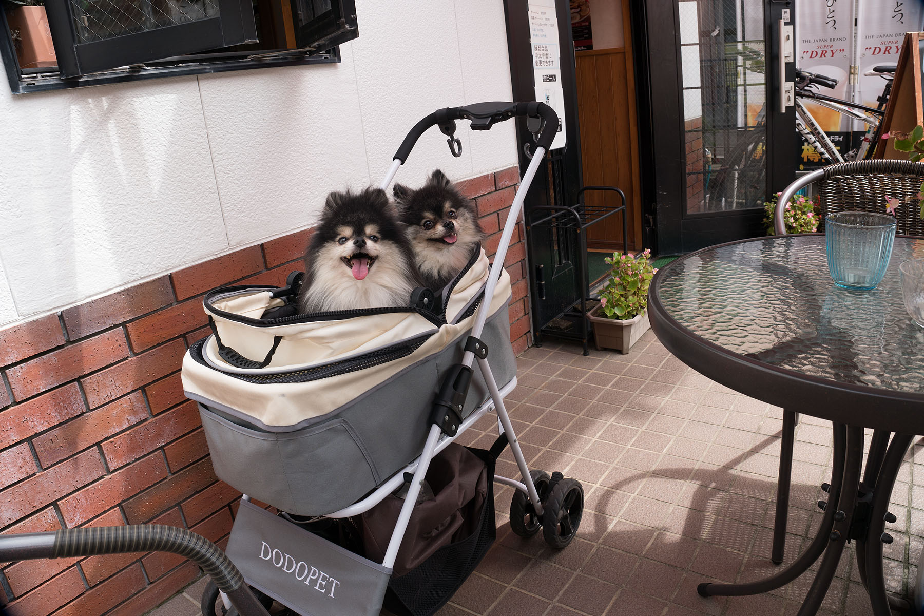 テラスわんこOK】フレッシュ本町ラーメン藤田 : 黒ぽめ！あんこと