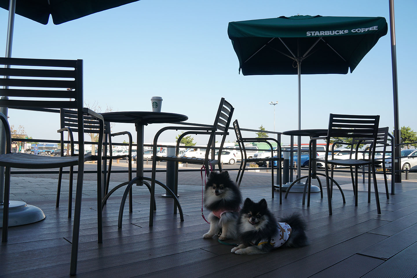 黒ぽめあんこ と 黒ぽめおはぎ テラスわんこok スターバックスコーヒー黒埼パーキングエリア下り店