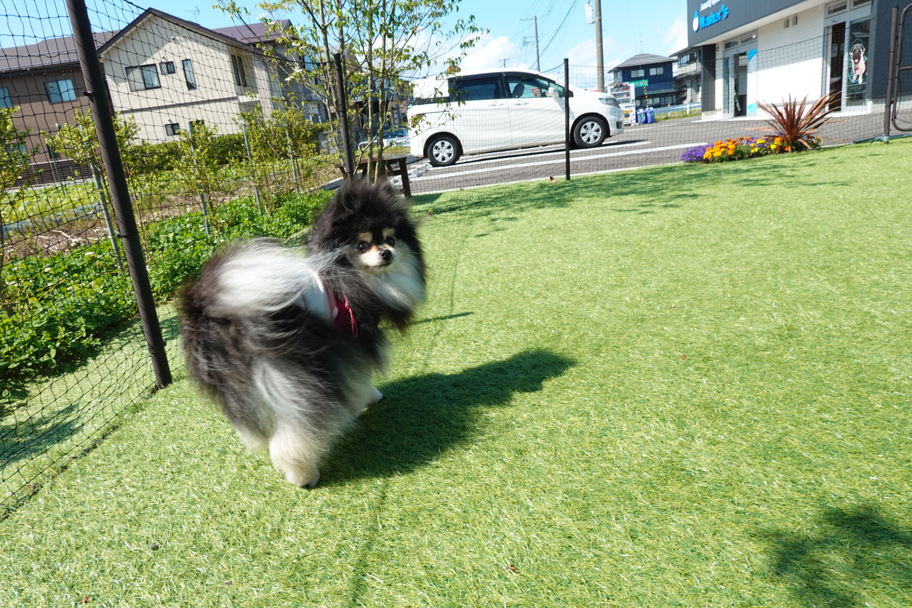 西蒲区にあるペット専用機もあるコインランドリーwasher'sさん 西蒲区にあるペット専用機もあるコインランドリーwasher'sさん
