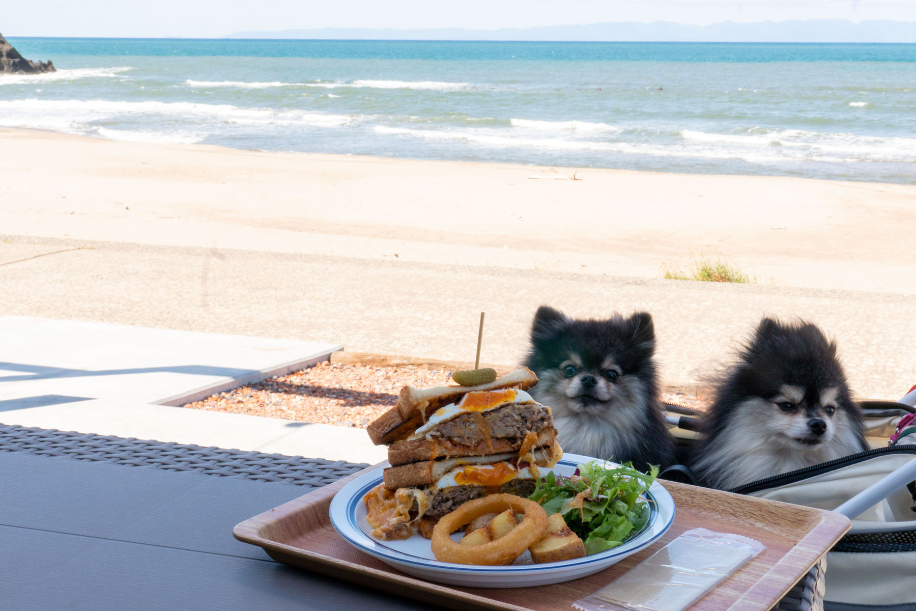 テラスわんこOK】海を楽しむ。角田浜の燦燦ベース : 黒ぽめ！あんこと