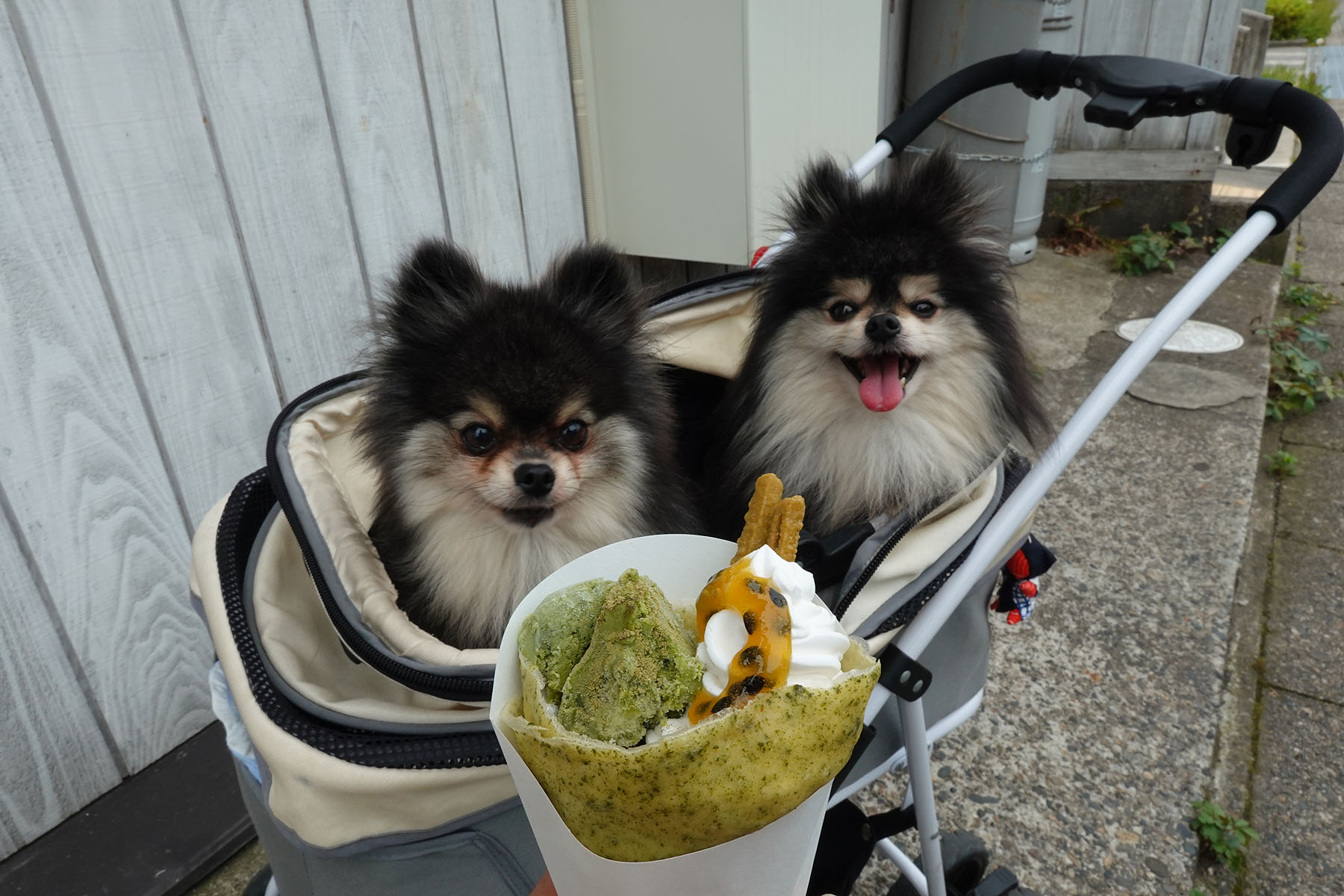 ベンチわんこOK】村上のクレープ、スリーベル : 黒ぽめ！あんこと