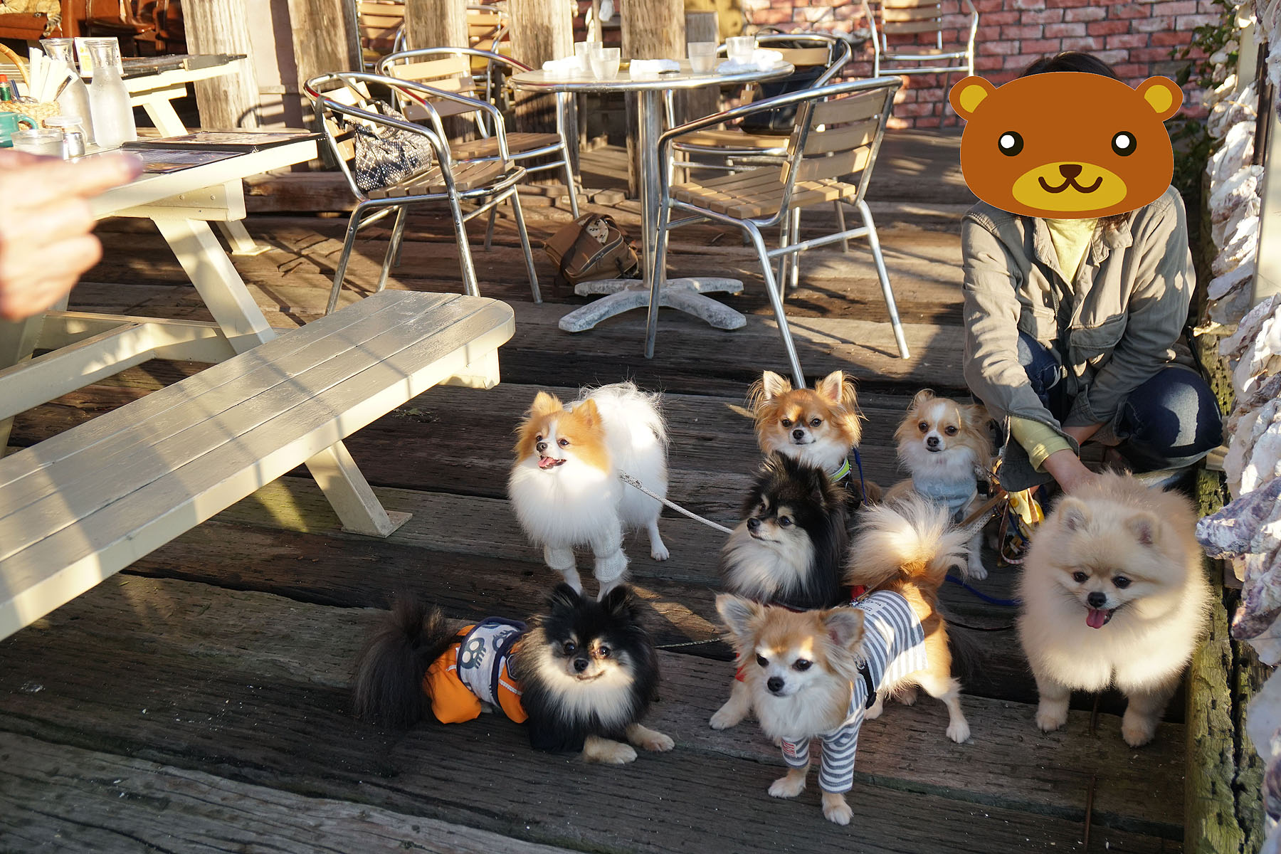 テラスわんこOK】寺泊地区のロケーション抜群なお店カフェウインズ