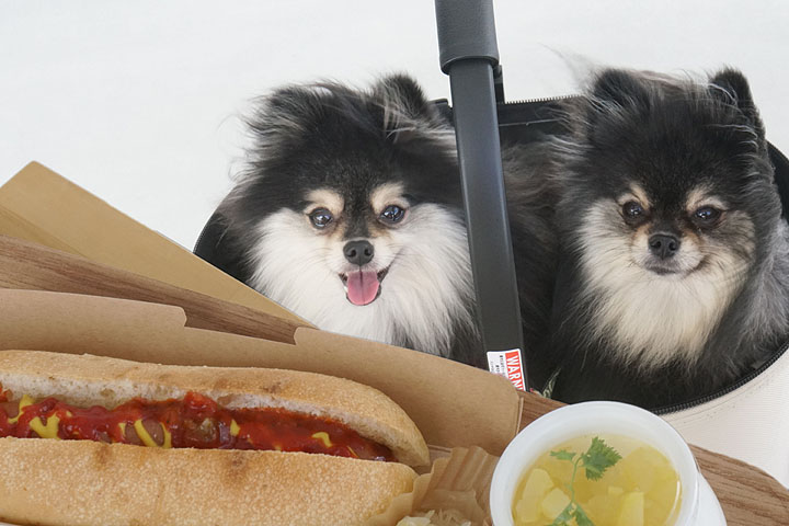 黒ぽめあんこ と 黒ぽめおはぎ お店一覧用