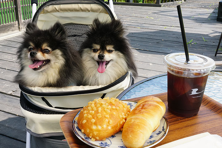 テラスわんこOK】福島潟湖畔LagoonBrewery : 黒ぽめ！あんことおはぎと