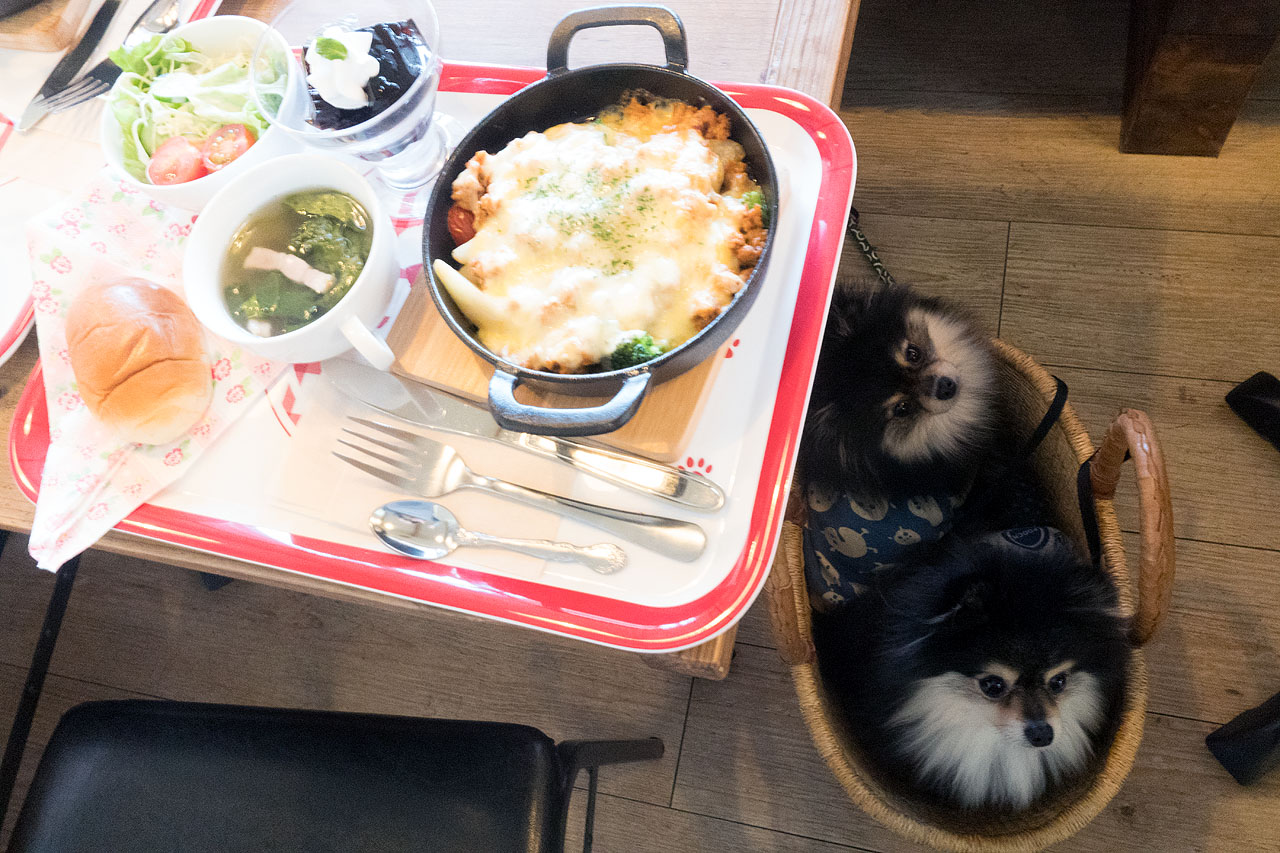 店内わんこOK】黒埼のハードオフ裏、ドッグカフェQoon : 黒ぽめ