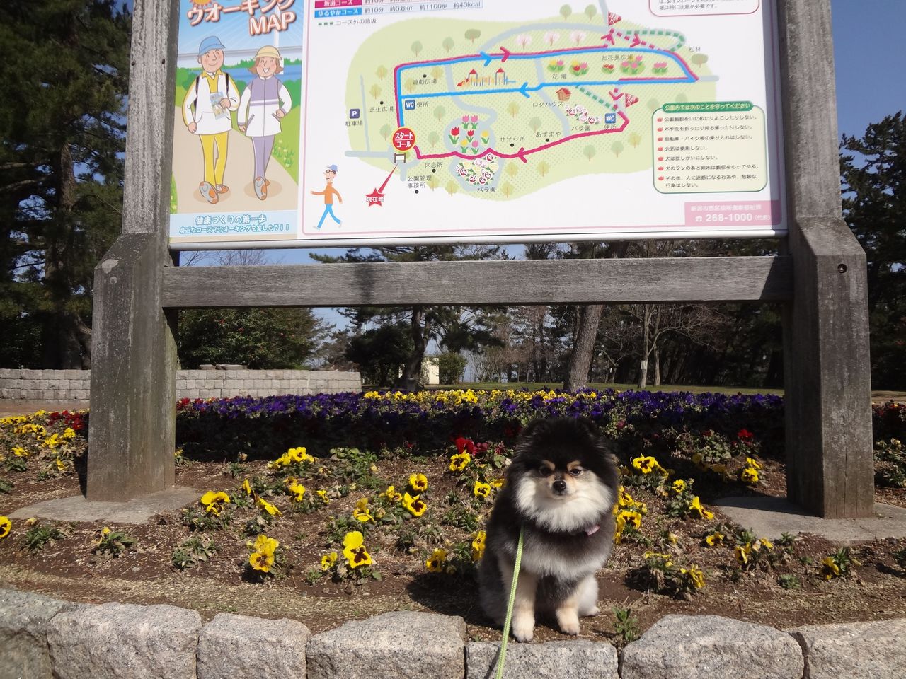 寺尾中央公園でさんぽ 黒ぽめあんこ と 黒ぽめおはぎ 寺尾中央公園でさんぽ 黒ぽめあんこ と 黒ぽめおはぎ