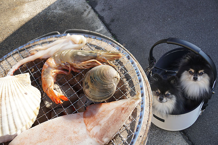 黒ぽめあんこ と 黒ぽめおはぎ テラスわんこok 寺泊裏通り 市場直送海鮮bbqのカイさん