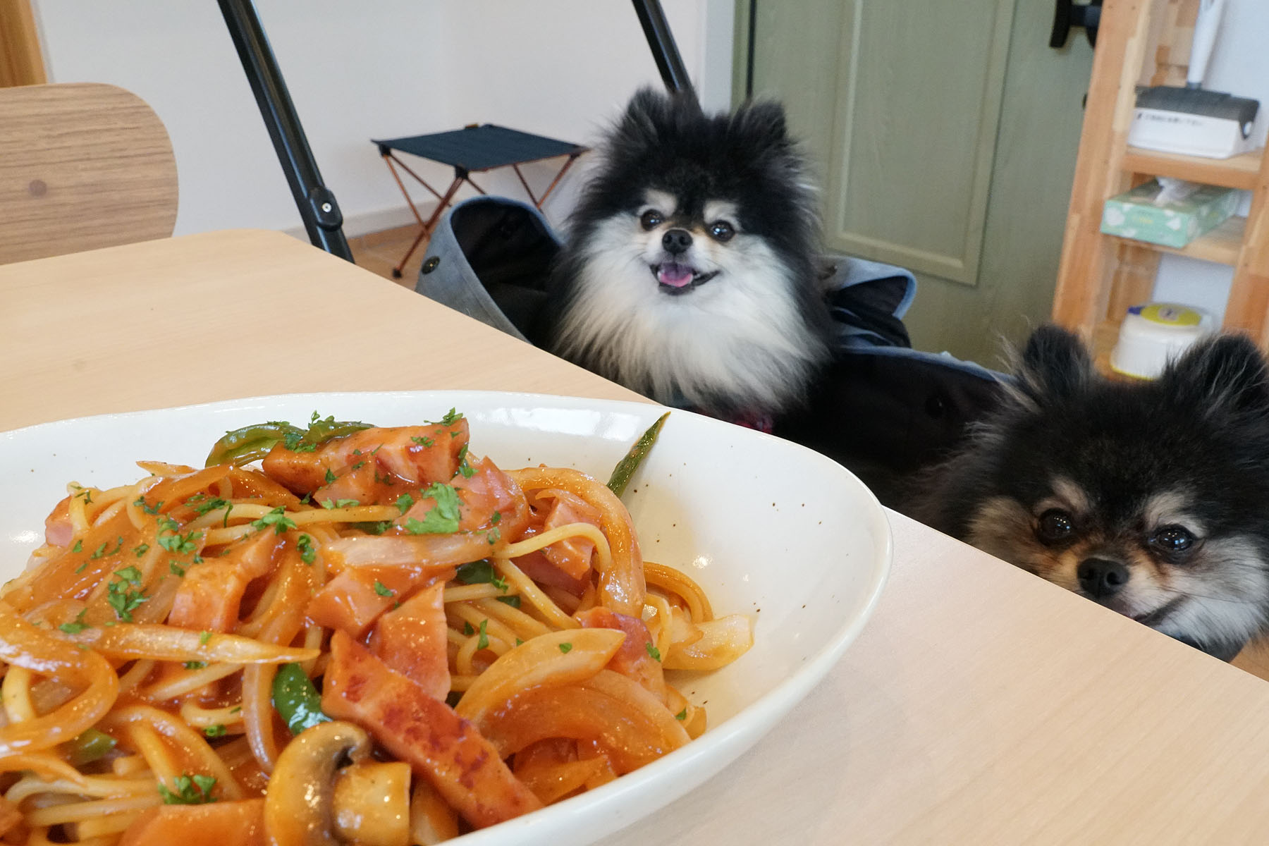 店内わんこOK】ドッグラン併設、新発田の91Rドッグパークカフェ : 黒ぽ