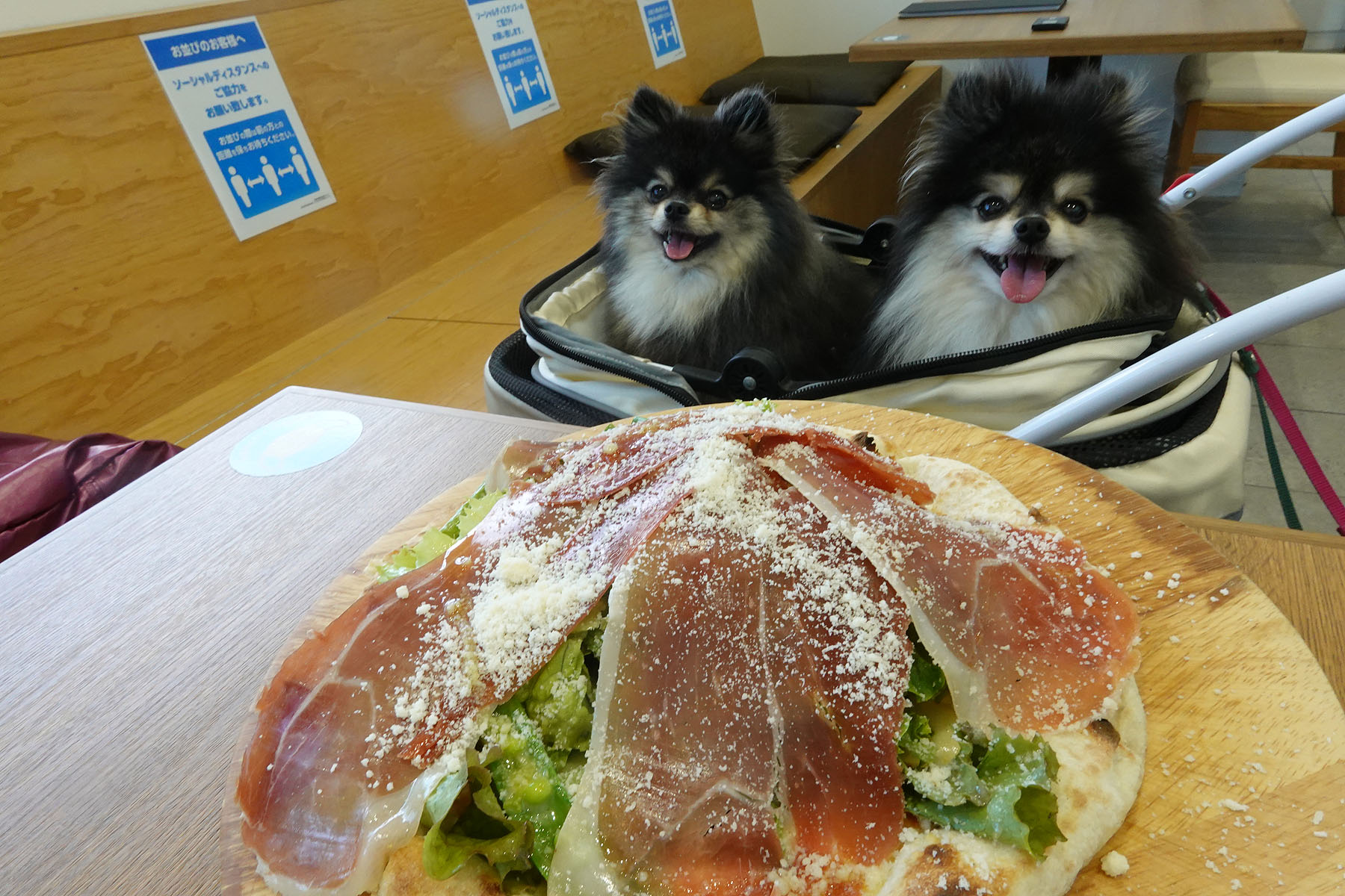 店内わんこOK】三条庭園の郷保内、ピザとパスタのお店base : 黒ぽめ