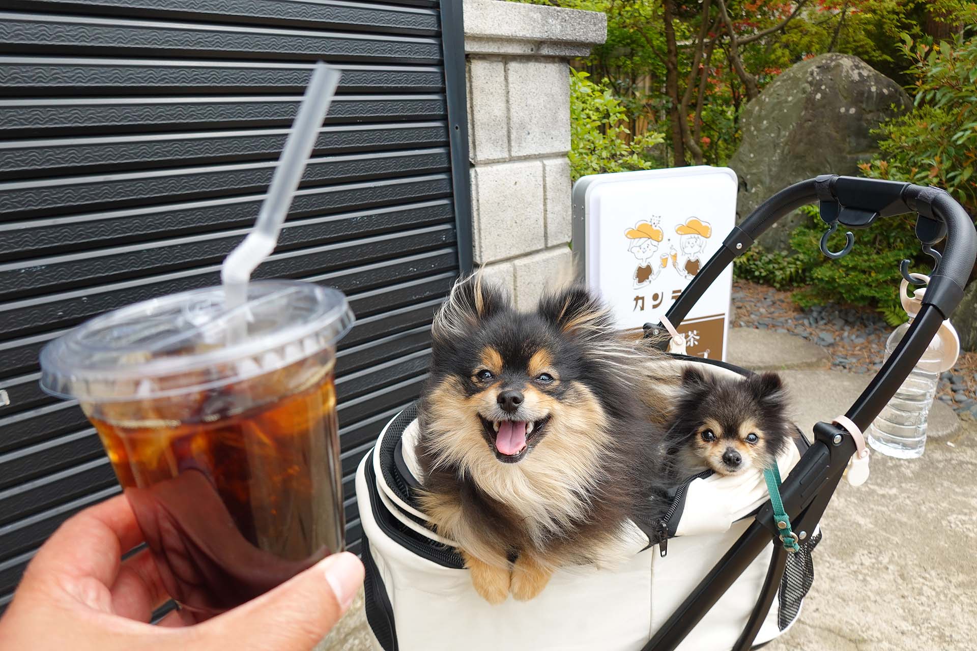 ベンチわんこOK】西蒲区の黒糖クレープカンテラ : 黒ぽめ！あんこと