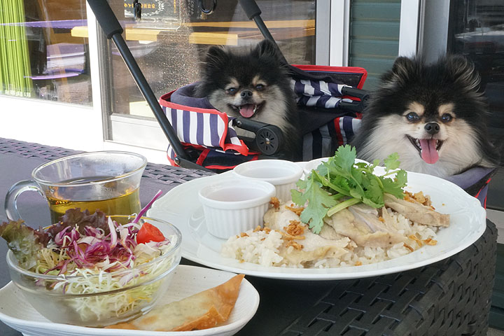 黒ぽめあんこ と 黒ぽめおはぎ お店一覧用