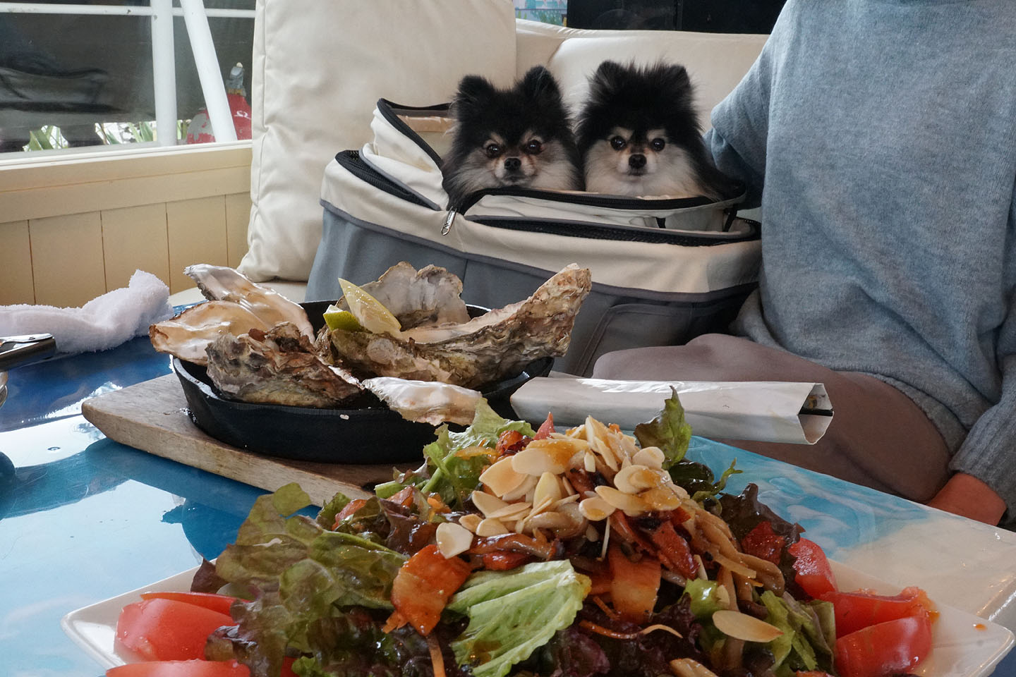 店内？屋根つきテラス席わんこOK】寺泊のカフェウインズ : 黒ぽめ