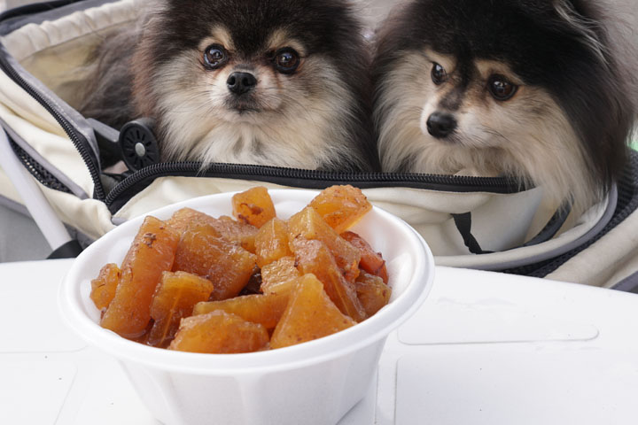 テラスわんこOK】弥彦の新店、弥彦カフェSoramameさん : 黒ぽめ！あん