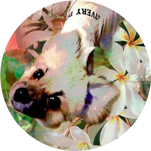 WRPMF9Lo4riJpjn1584538190_1584538234