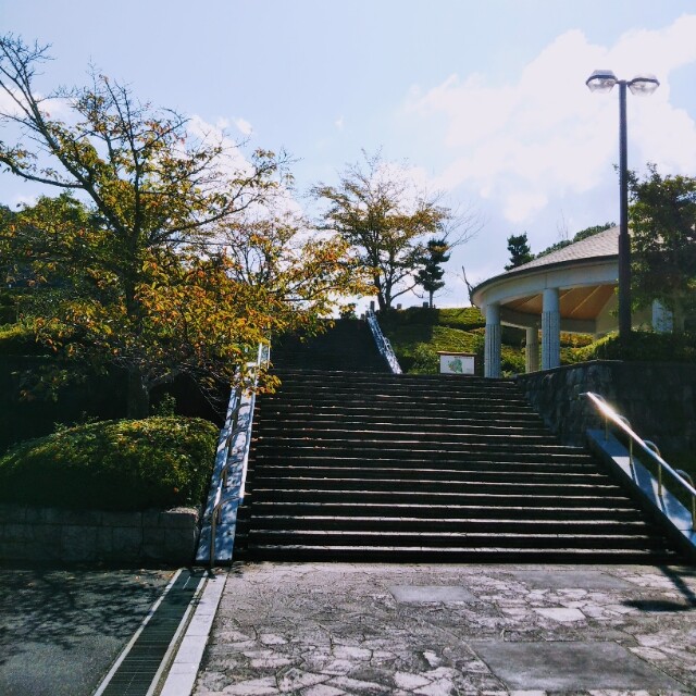 DSC_0020~2
