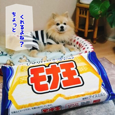 YPkt7YZmgOIonai1578475574_1578475758