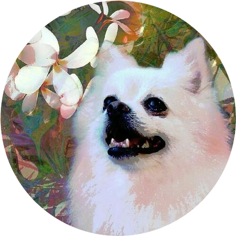 N1WQBcTGZF9fEZO1584538126_1584538156