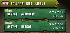 タケミナカタ降臨!