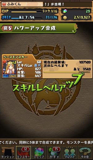 スキルマ,エキドナ