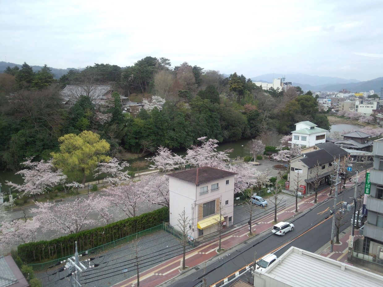 熊本地震は 活断層が動いた 亀岡の美容室 Beauty Shop On 熊本地震は 活断層が動いた 亀岡の美容室 Beauty Shop On