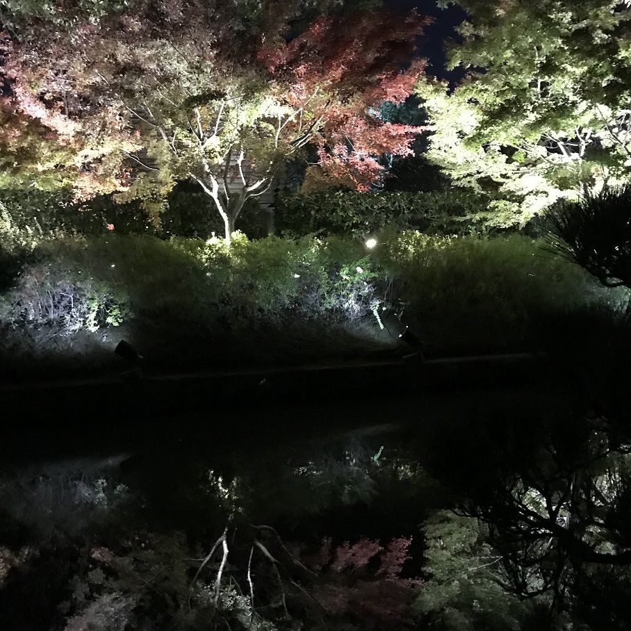 東寺のライトアップ 五重塔もきれい お庭もよかった 亀岡の美容室 Beauty Shop On