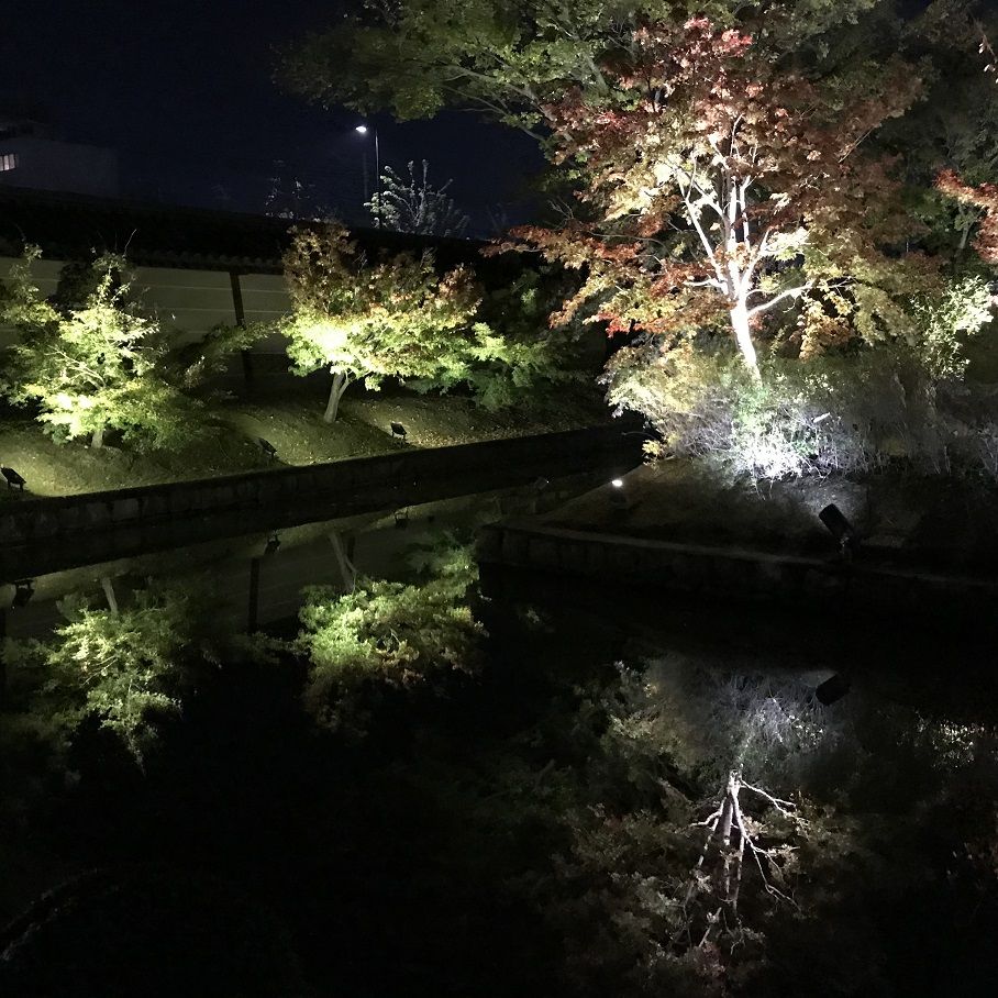 東寺のライトアップ 五重塔もきれい お庭もよかった 亀岡の美容室 Beauty Shop On