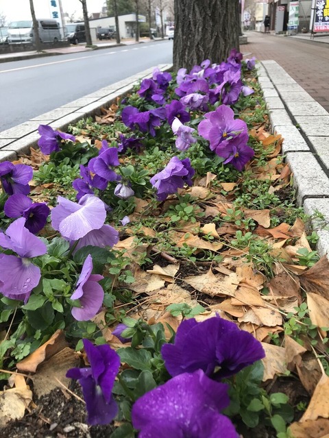 19.12.26���˥åƥ��̤�