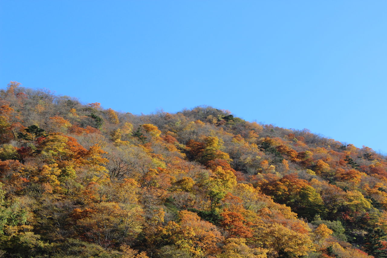 pon_moonの旅ブログ