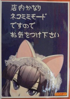 虎の穴_なんば店_ネコミミモード注意