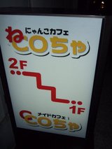 にゃんこカフェ_ねCOちゃ_路地看板