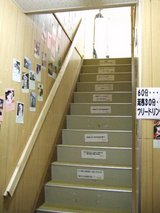 にゃんこかふぇ_ねこCOちゃ_階段