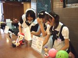 メイドカフェめいぷる_カウンターにて