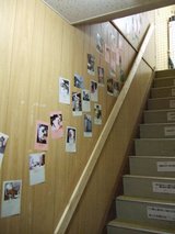 にゃんこかふぇ_ねこCOちゃ_階段の写真