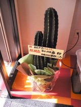 GET'S_Ź����ͻ�_���ˤ��Υ��ܥƥ�