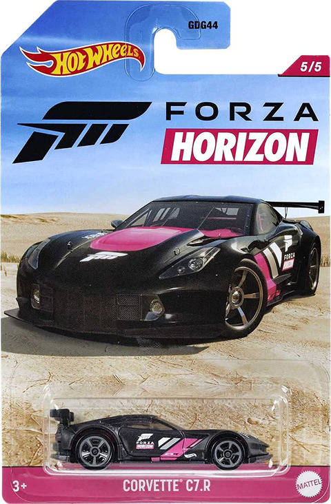 HWForza03