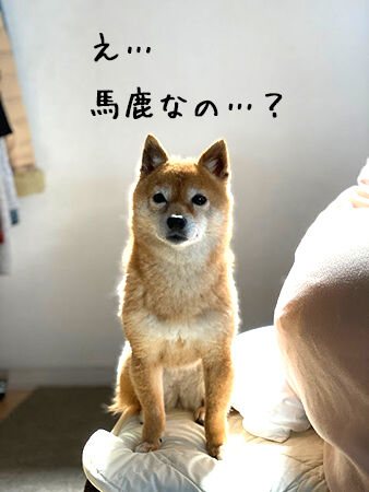 2zprgjx4