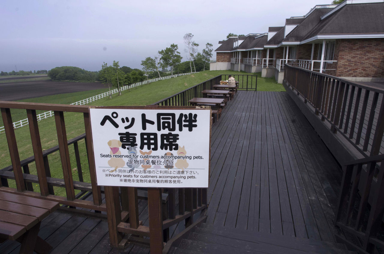 噴火湾パノラマパークに行こう 豆柴ぽんと北海道 噴火湾パノラマパークに行こう 豆柴ぽんと北海道