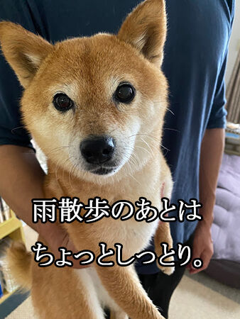 h0k92t1y