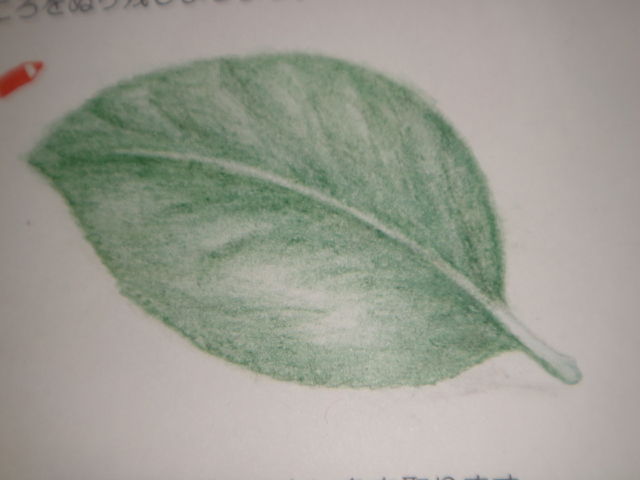 色鉛筆練習帳 葉っぱ Love色鉛筆