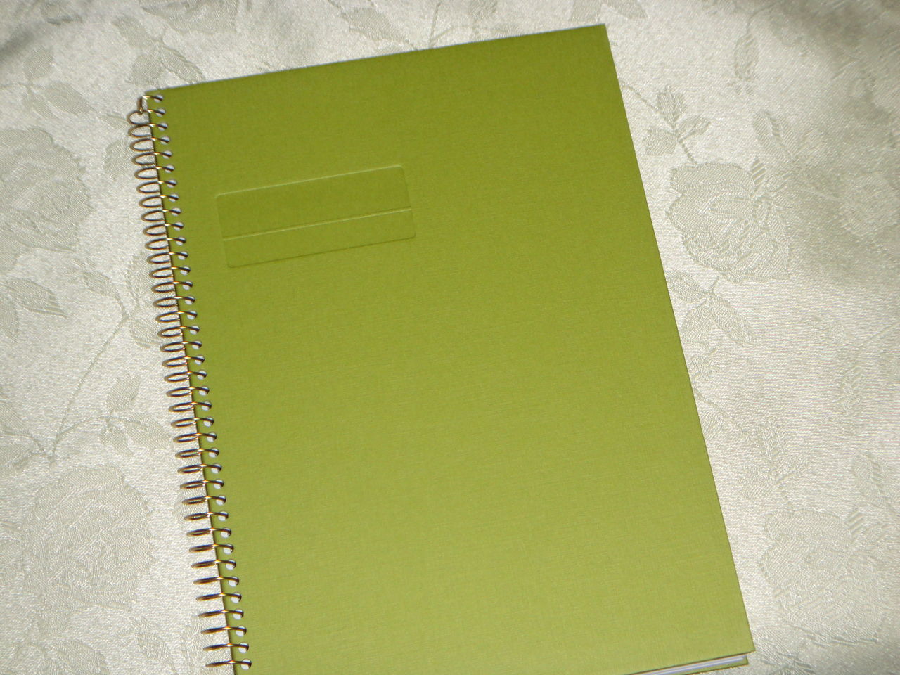 絵日記帳 買いました ポインセチア Makingあり Love色鉛筆