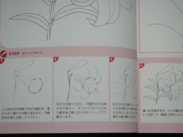 5月1日 スケッチ練習 百合の花 Love色鉛筆 5月1日 スケッチ練習 百合の花 Love色鉛筆
