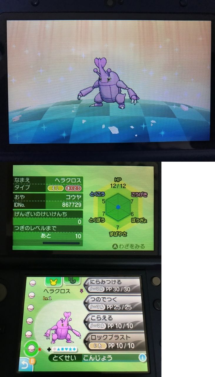 色違い ヘラクロスその2 日々ポケモン 色違い ヘラクロスその2 日々ポケモン